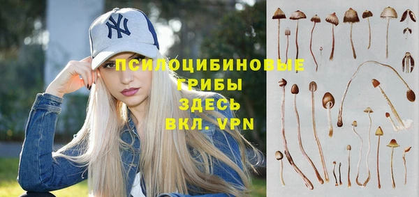 амфетамин Белокуриха