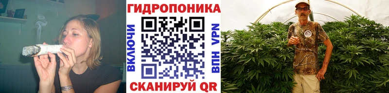 Шишки марихуана сатива  Высоцк 
